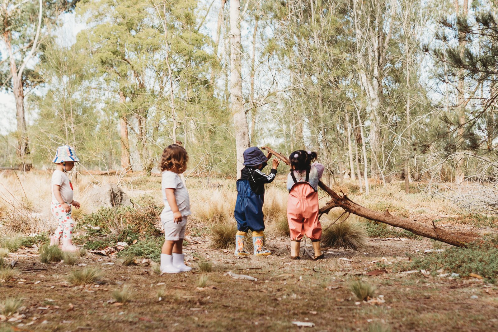 Bush Playgroup Warrandyte ~ Wednesdays (Term 2) - Image 4