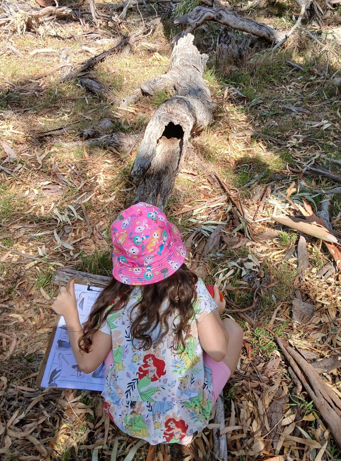 Bundoora Bush Kids Forest School ~ Wednesdays (Term 2) - Image 7