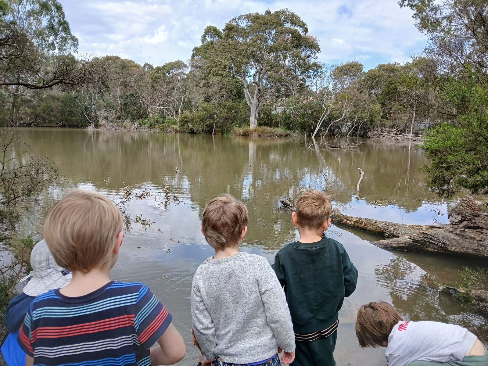 Bundoora Bush Kids Forest School ~ Wednesdays (Term 2) - Image 5