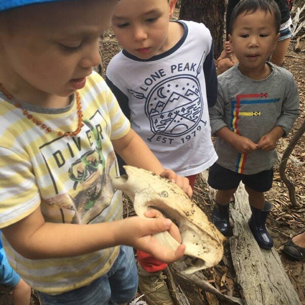 Mernda ~ Fossil Hunters: Nature Detectives Adventure