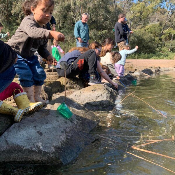 Newport Bush Kids Forest School ~ Fridays (Term 2)