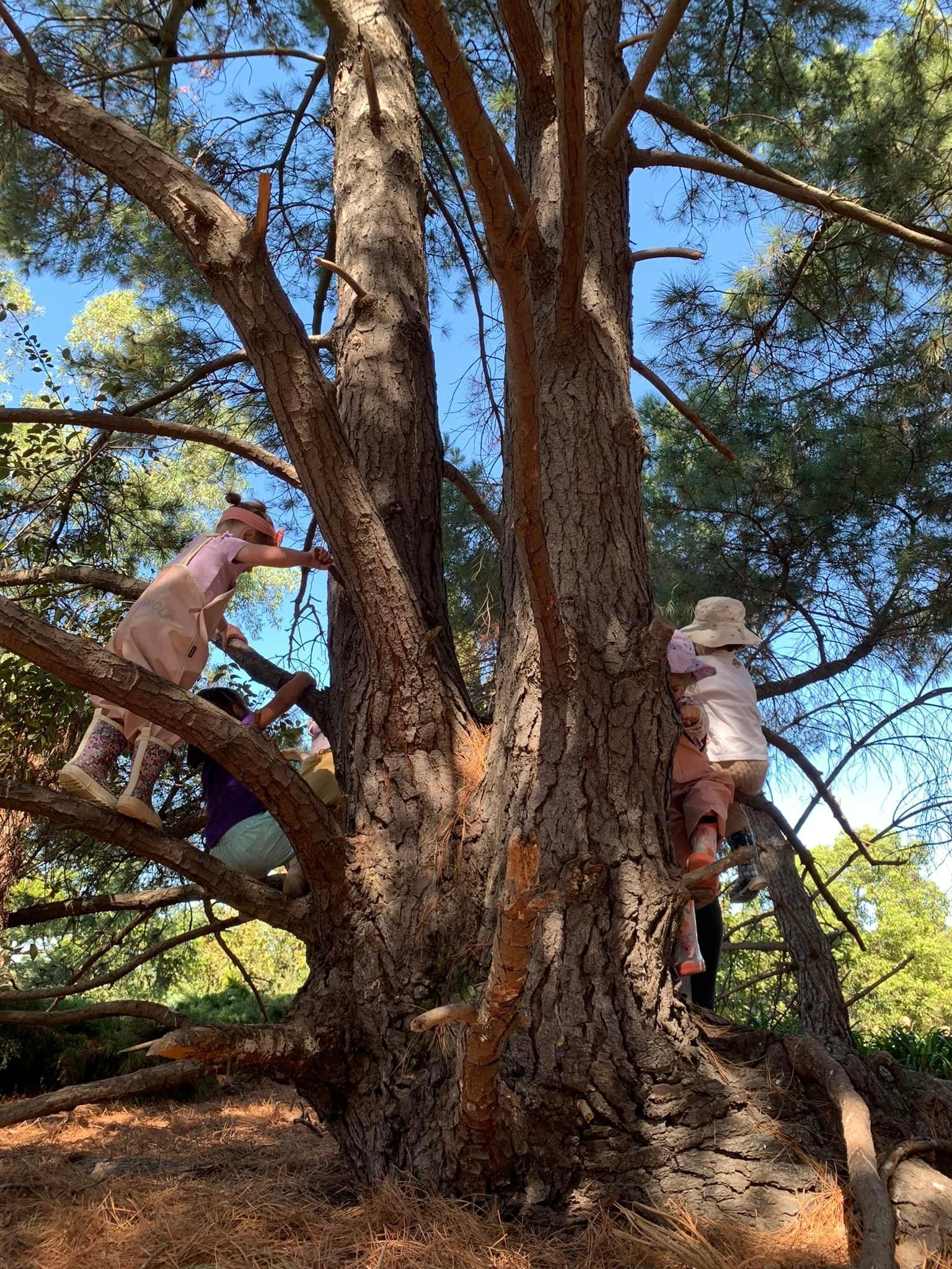 Wombat Wanderers Langwarrin ~ Fridays (Term 2) - Image 2