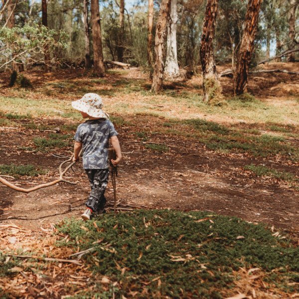 Tawny Toddlers Kew ~ Mondays (Term 2)