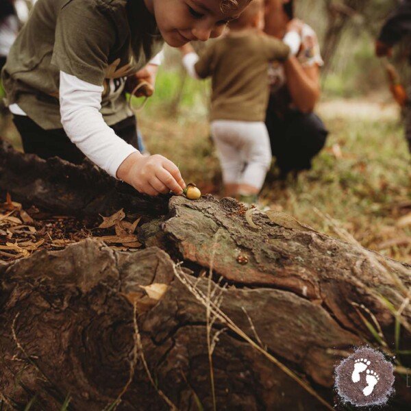 Bush Playgroup Newport ~ Fridays (Term 2)