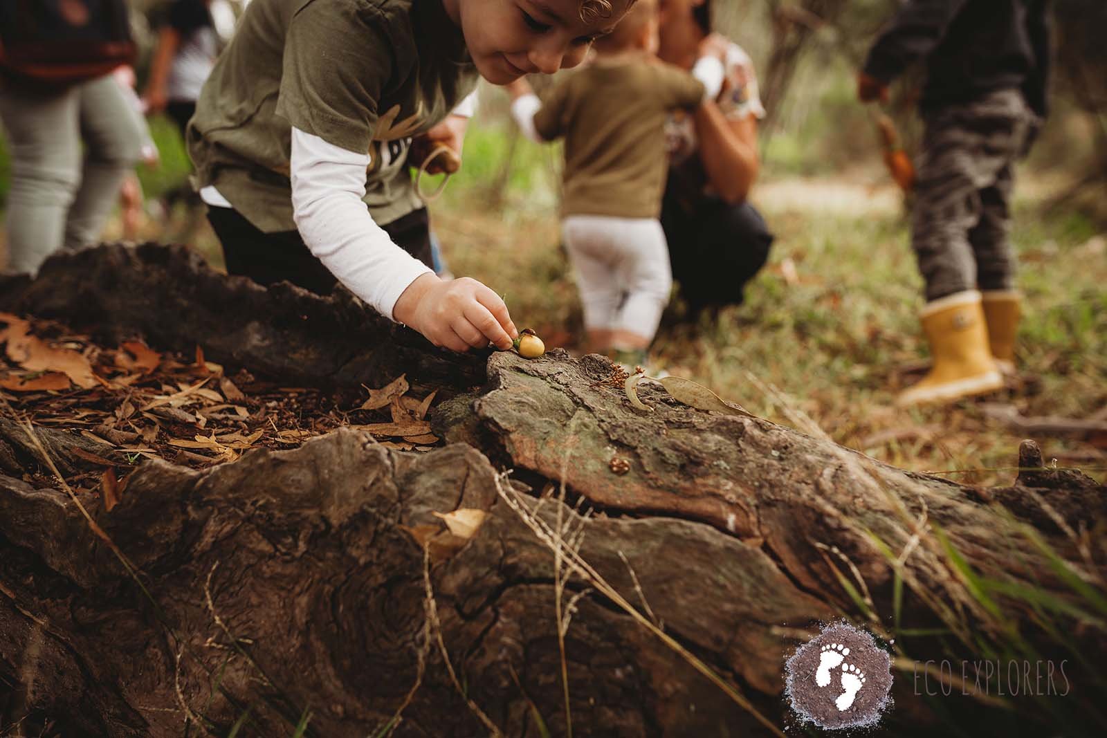 Wombat Wanderers Langwarrin ~ Fridays (Term 2) - Image 4