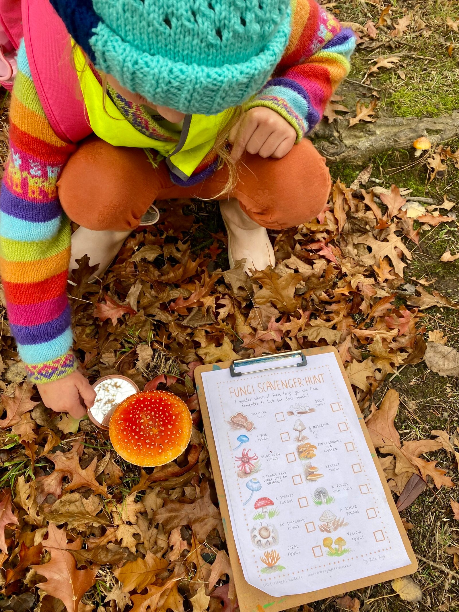 Wombat Wanderers Langwarrin ~ Fridays (Term 2) - Image 4