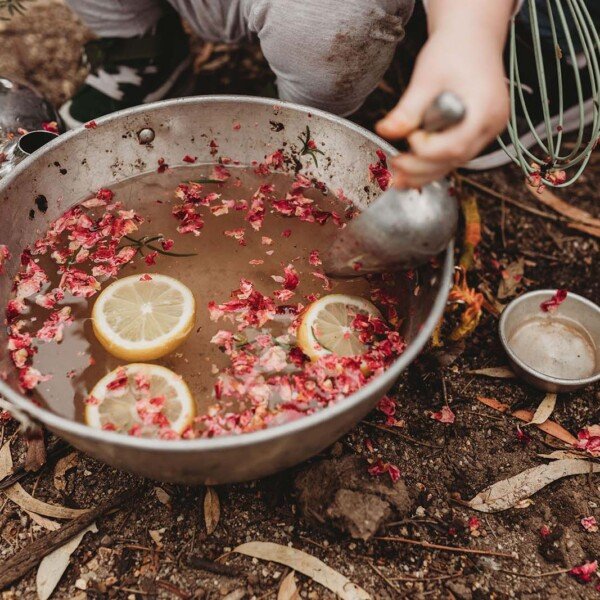 Moonee Valley Nature Play Week FREE Event