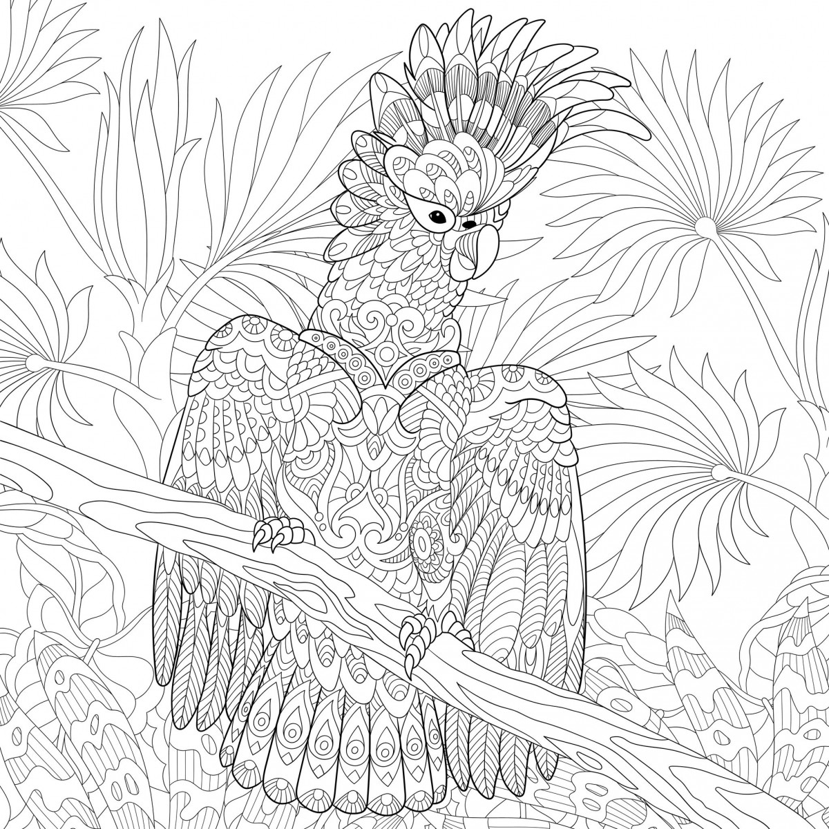 cockatoo colouring in mindfulness