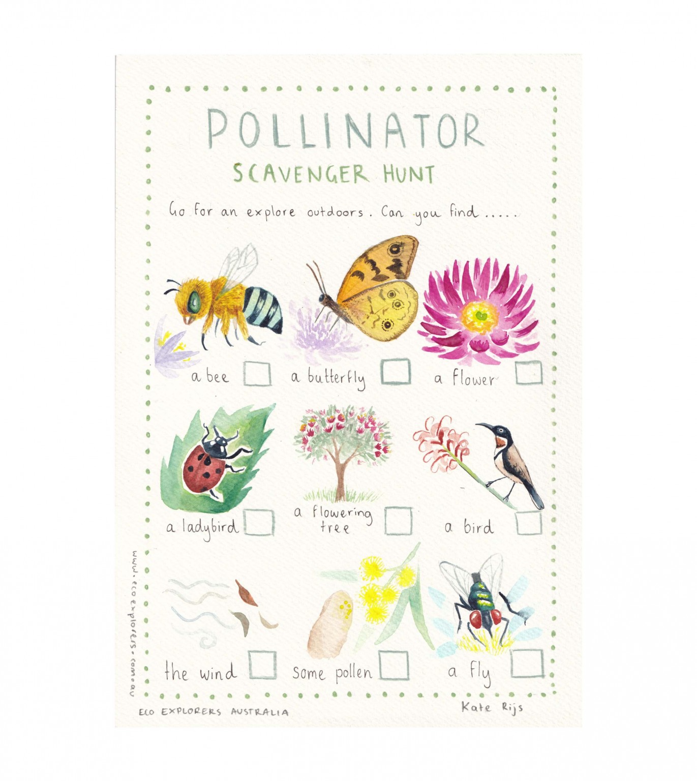 Australian Pollinator Scavenger Hunt - Eco Explorers